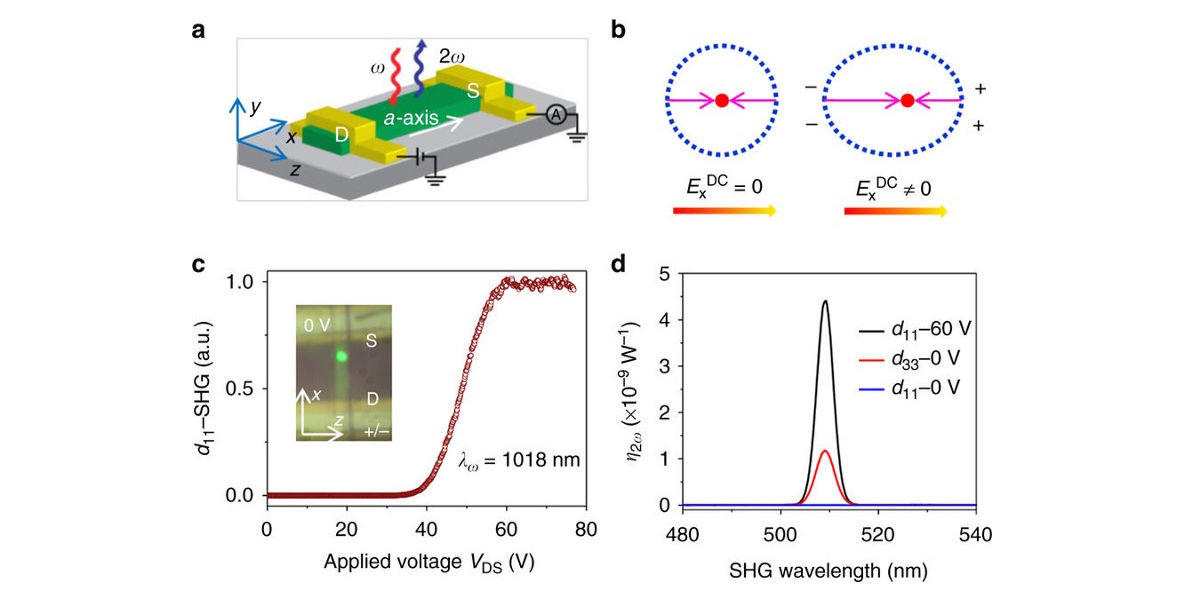 Figure A shows a diagram of the the Agarwal research group’s “nanobelt.”