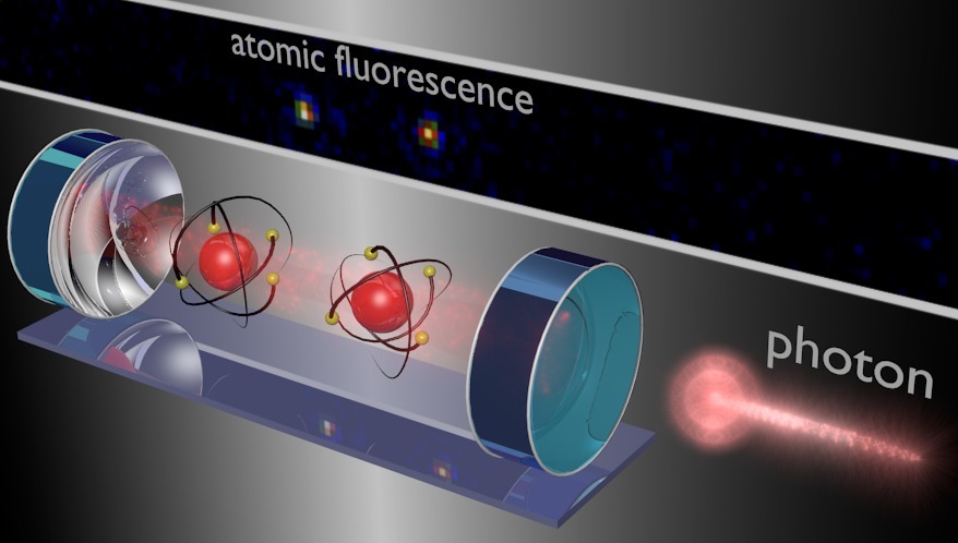 Illustration of the experimental setup