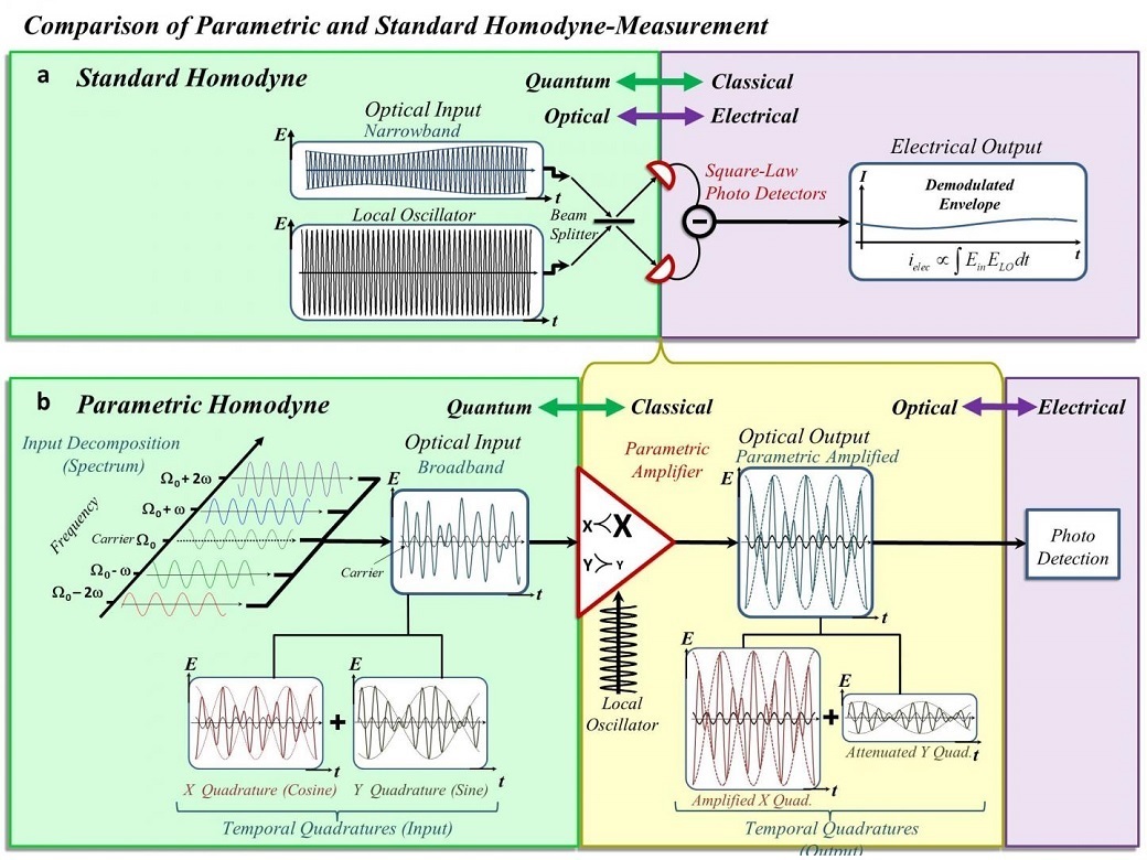 Lifting the Bandwidth Limit of Optical Homodyne Measurement with Broadband Parametric Amplification 