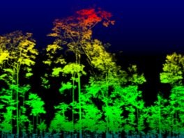 LIDAR data at Caxiuana