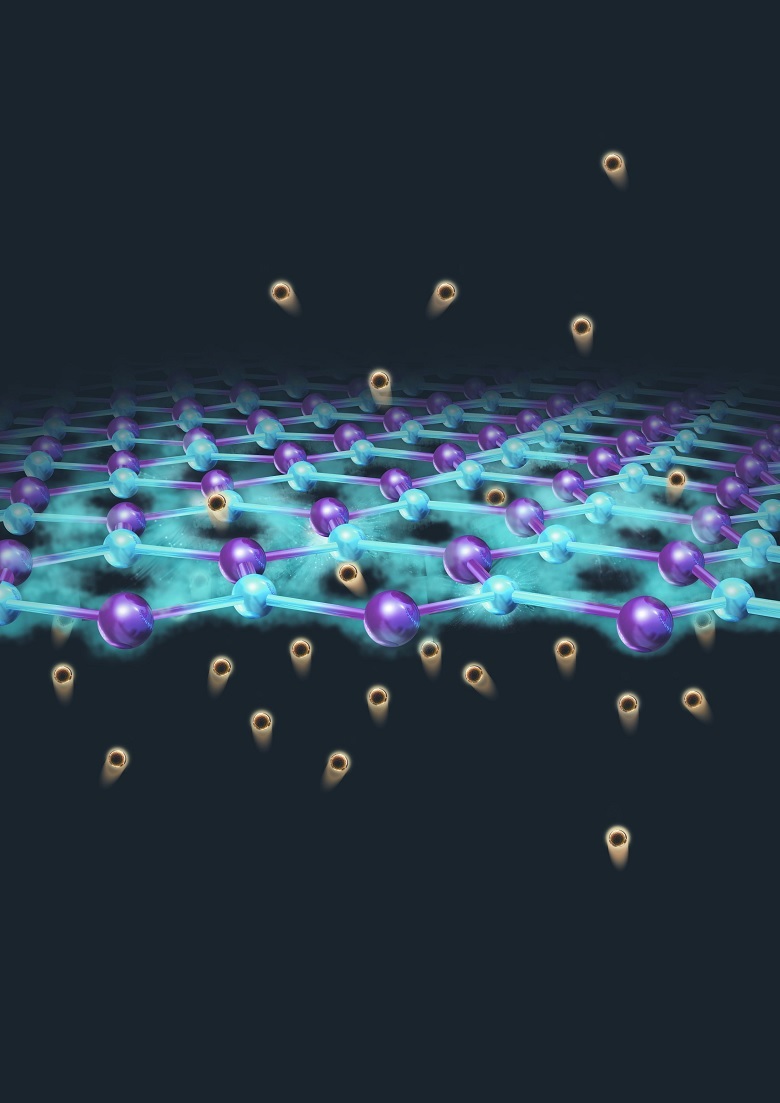 Graphene Proton Transport