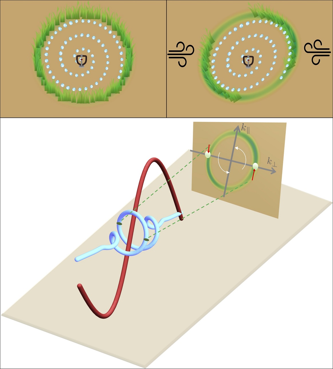 Reconstruction of Polarization Properties of the Ultra-Short Pulse