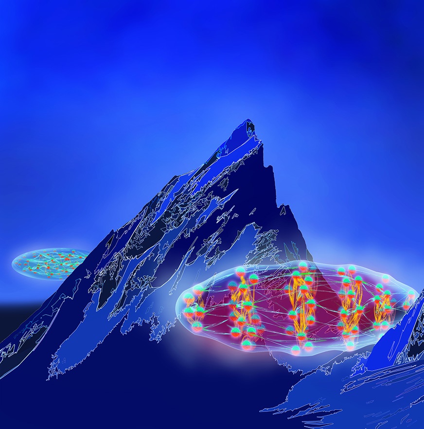 A cigar-shaped gas of magnetic atoms can support a roton mode