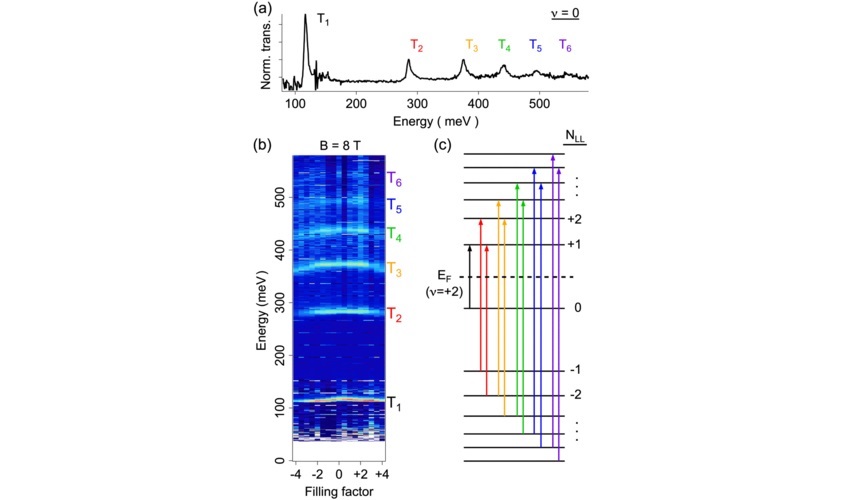 Interband Landau level transitions in monolayer graphene