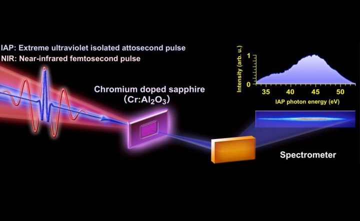 Transient Absorption Spectroscopy