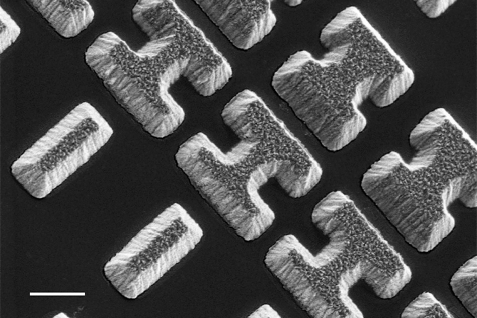 Scanning Electron Microscope image shows a few of the carefully designed shaped of the chalcogenide glass deposited on a clear substrate