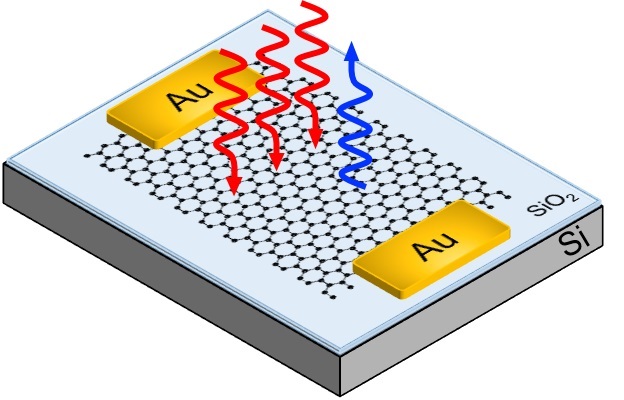 Third Harmonic Generation in Graphene 