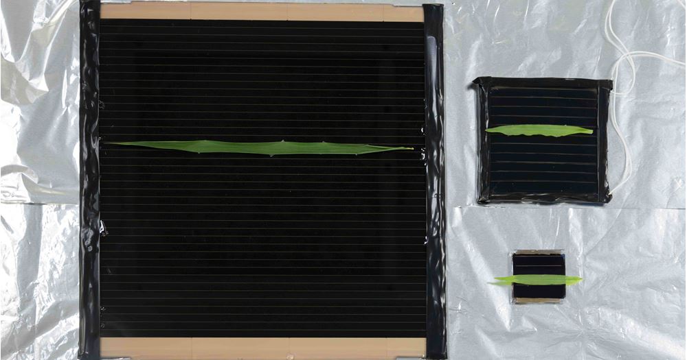 The research team has produced solar cell modules of different sizes, which retain more than 90% of their initial efficiency even under a negative voltage of -40 V.