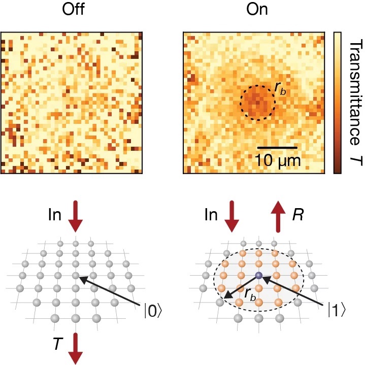 Flipping the switch changes the optical properties