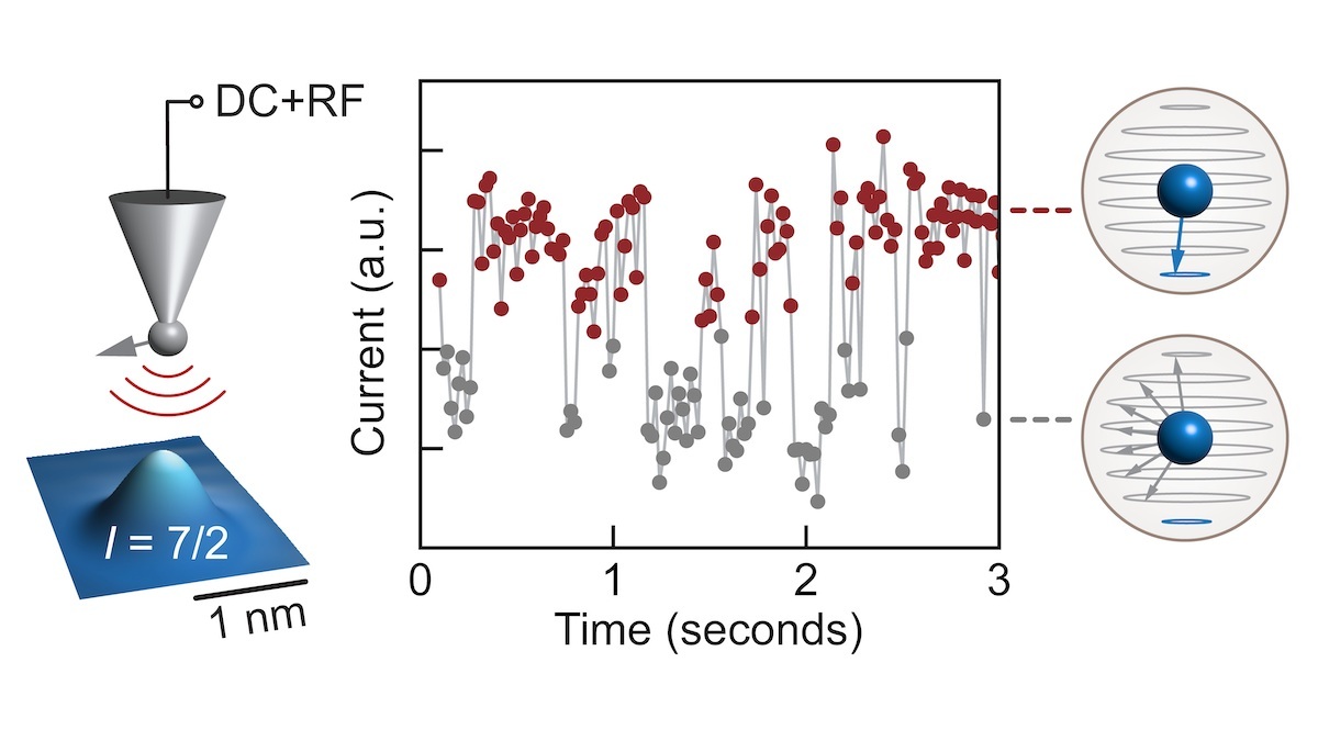Graphical summary of the experiment.