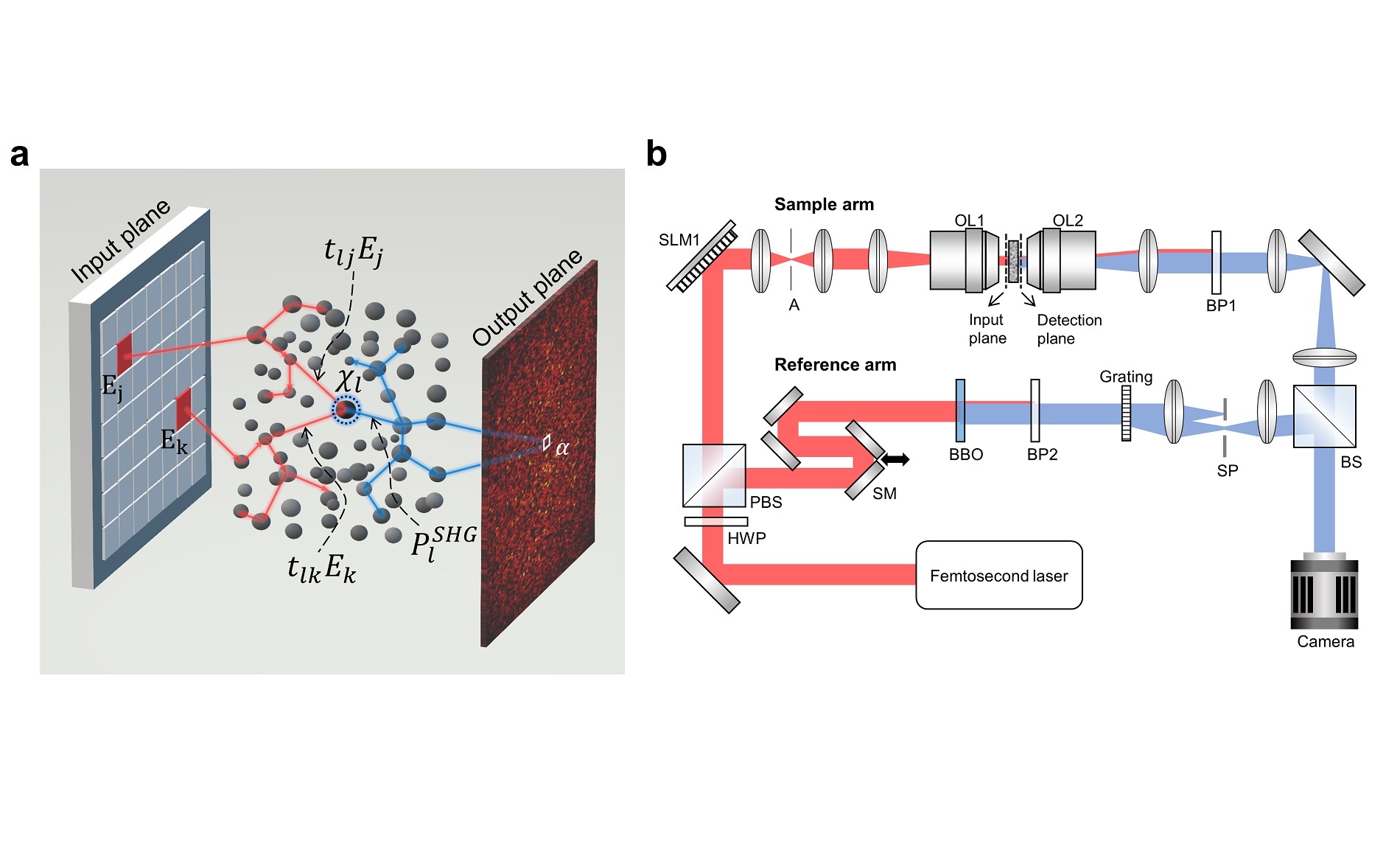 Nonlinear scattering wave propagation and measurement system