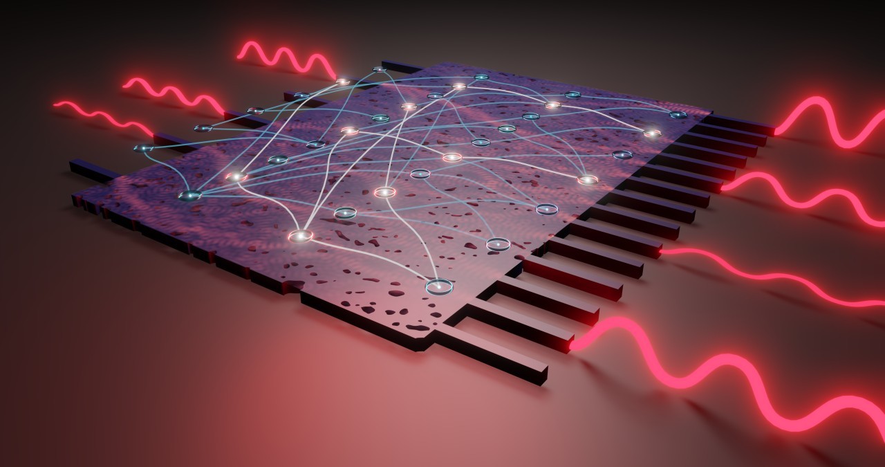 Photo credit: University of Sydney