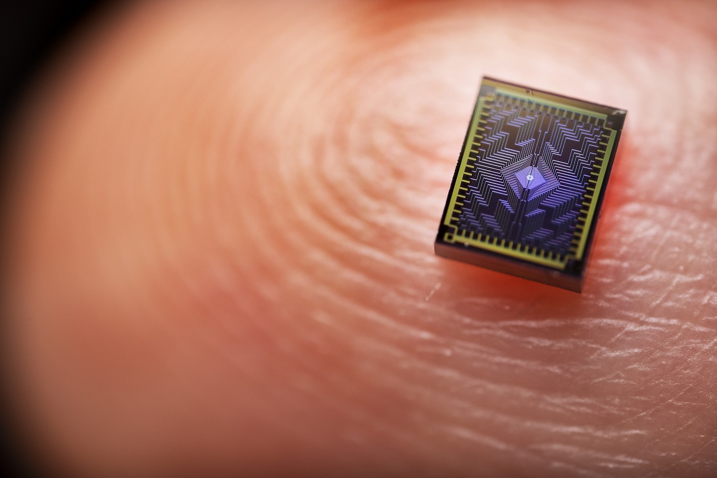 A photo shows one of Intel's Tunnel Falls chips on a human finger to display its scale