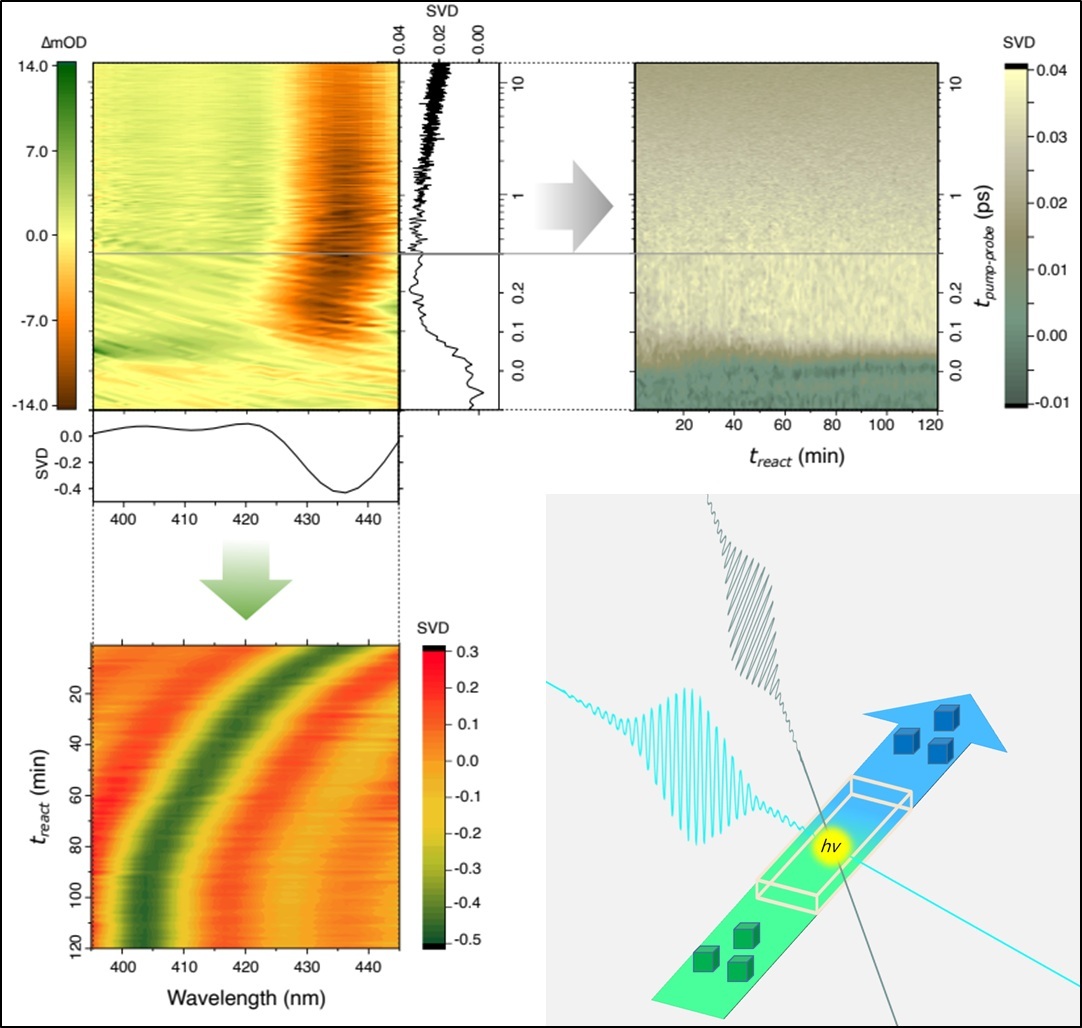 AI-TA analysis of photoinduced halide substitution in perovskite nanocrystals
