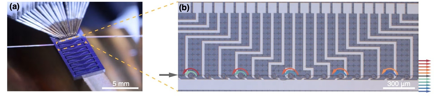 An image of an AlGaAs-on-insulator chip with 14 sets of microring array devices with fiber input and output coupled to one array.