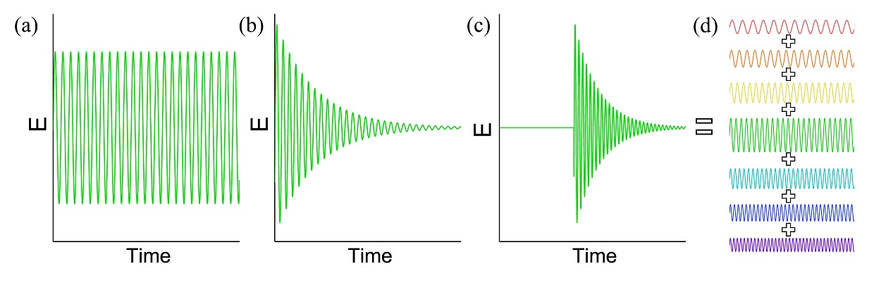 Electric field profile of waves