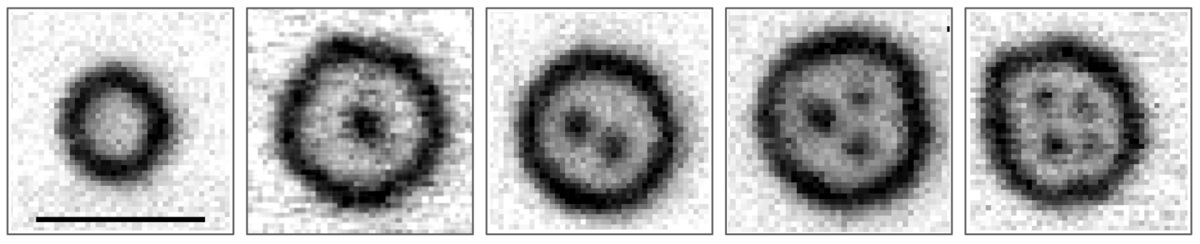 X-ray microscopy images of the magnetization textures showing the different orders of skyrmions bags, ranging from the empty skyrmionium to a bag filled with four skyrmions