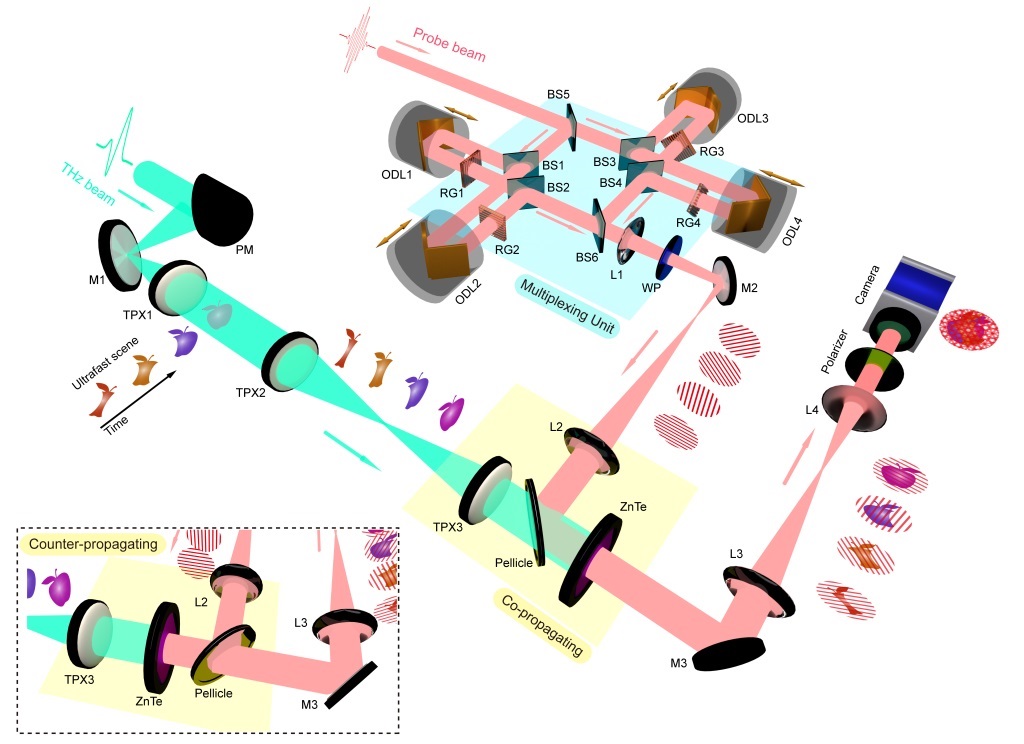 Schematics of the single-shot ultrafast THz photography system. INRS