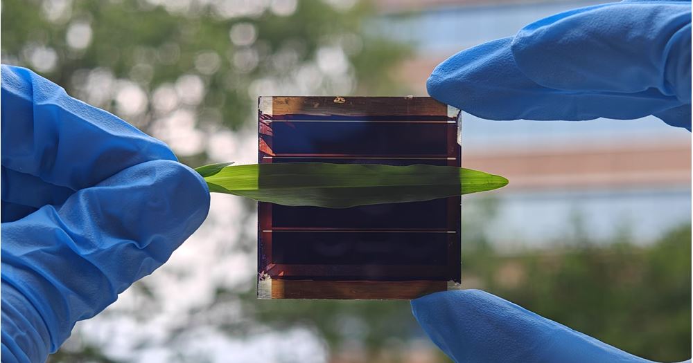 The newly developed solar cell minimodule operates stably even when shaded by leaves or other objects.