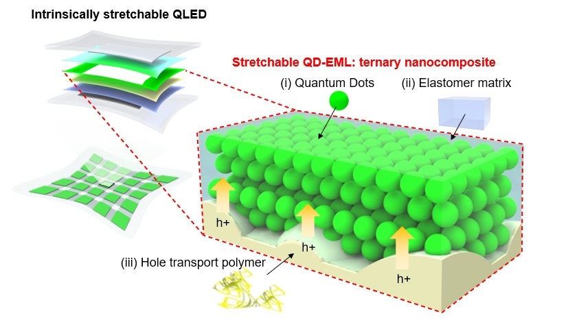QD-based stretchable emission layer for intrinsically stretchable quantum dot light-emitting diodes